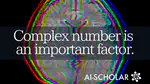 Complex Valued Neural Networks