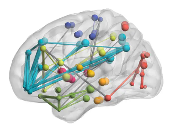 Information Propagation Through Graph Neural Networks and Relation to the Brain